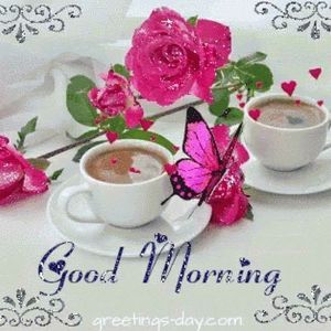 Meet your Posher, Donah